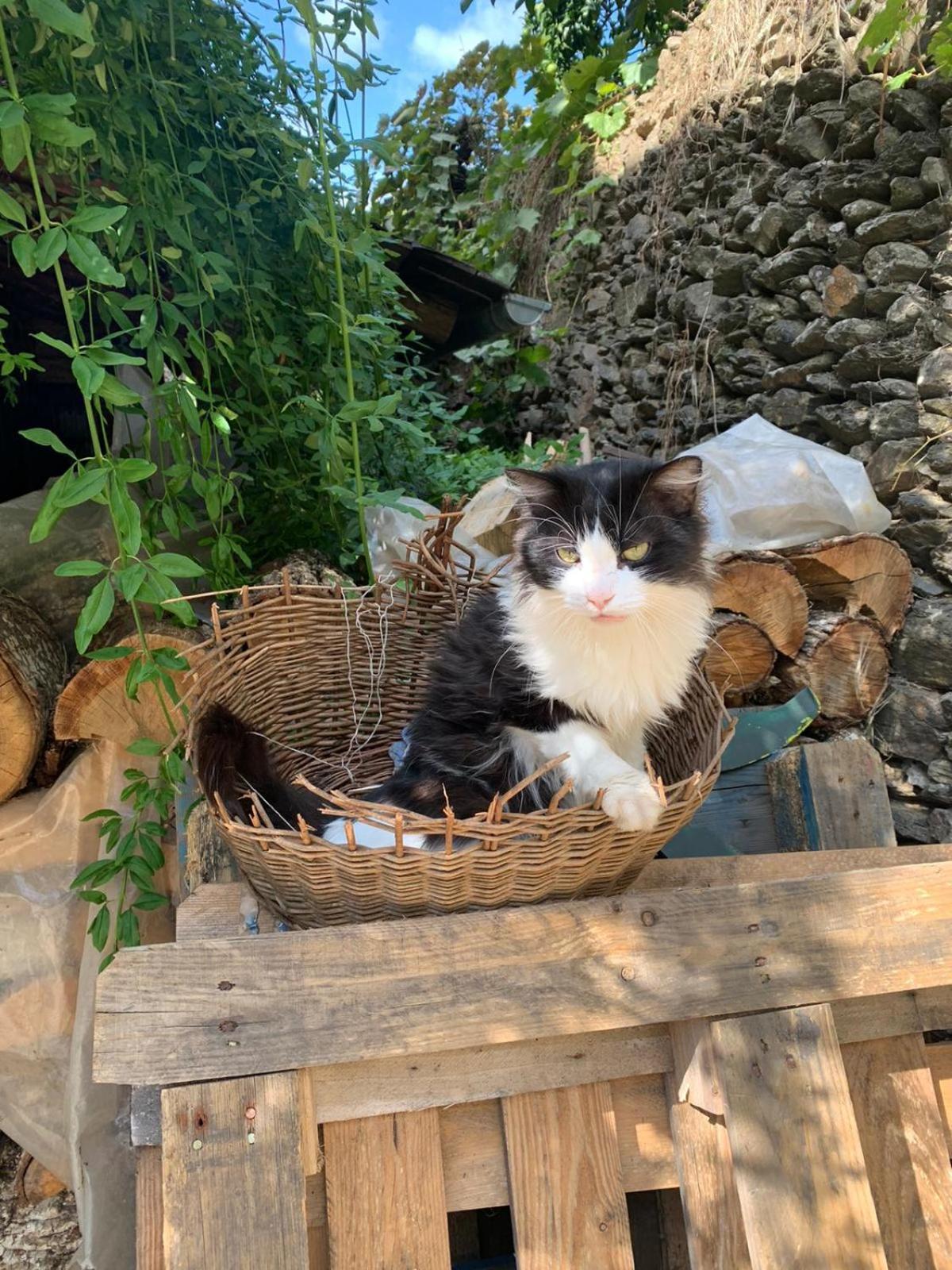 Casa Manadero Leilighet Robledillo De Gata Rom bilde